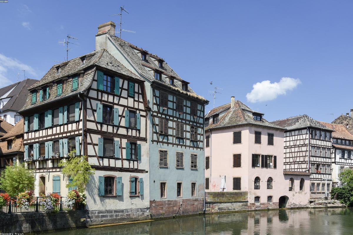 Château médiéval alsacien surplombant les collines boisées
